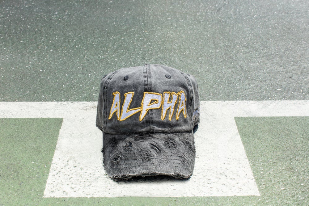GREY ALPHA CAP
